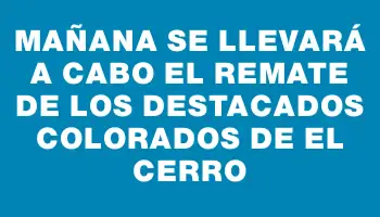 Mañana se llevará a cabo el remate de los destacados colorados de El Cerro