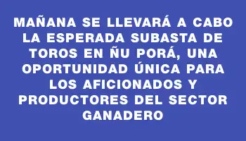 Mañana se llevará a cabo la esperada subasta de toros en Ñu Porá, una oportunidad única para los aficionados y productores del sector ganadero