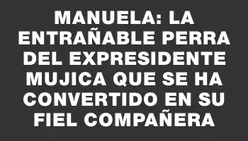 Manuela: La entrañable perra del expresidente Mujica que se ha convertido en su fiel compañera