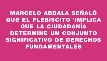 Marcelo Abdala señaló que el plebiscito 