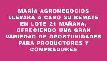 María Agronegocios llevará a cabo su remate en Lote 21 mañana, ofreciendo una gran variedad de oportunidades para productores y compradores