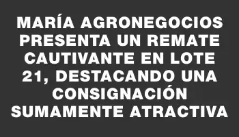 María Agronegocios presenta un remate cautivante en Lote 21, destacando una consignación sumamente atractiva