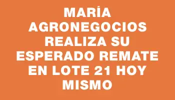 María Agronegocios realiza su esperado remate en Lote 21 hoy mismo