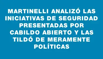 Martinelli analizó las iniciativas de seguridad presentadas por Cabildo Abierto y las tildó de meramente políticas