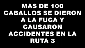 Más de 100 caballos se dieron a la fuga y causaron accidentes en la ruta 3