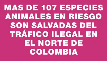 Más de 107 especies animales en riesgo son salvadas del tráfico ilegal en el norte de Colombia