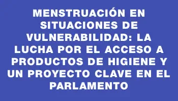 Menstruación en situaciones de vulnerabilidad: la lucha por el acceso a productos de higiene y un proyecto clave en el Parlamento