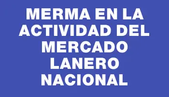 Merma en la actividad del mercado lanero nacional