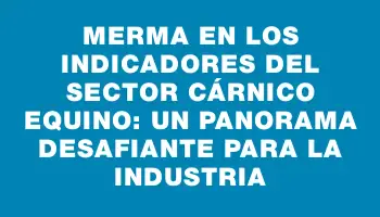 Merma en los indicadores del sector cárnico equino: un panorama desafiante para la industria