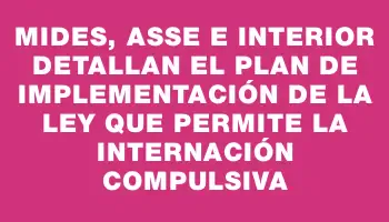 Mides, Asse e Interior detallan el plan de implementación de la ley que permite la internación compulsiva