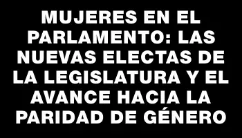 Mujeres en el Parlamento: las nuevas electas de la Legislatura y el avance hacia la paridad de género