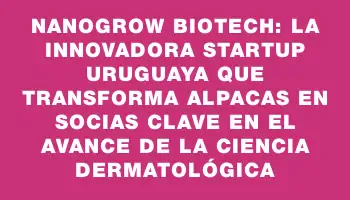 Nanogrow Biotech: La innovadora startup uruguaya que transforma alpacas en socias clave en el avance de la ciencia dermatológica