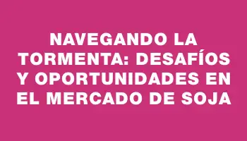 Navegando la Tormenta: Desafíos y Oportunidades en el Mercado de Soja