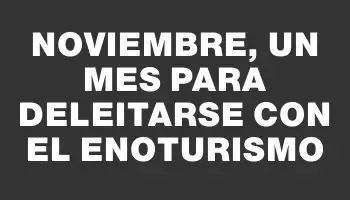 Noviembre, un mes para deleitarse con el enoturismo