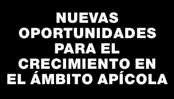 Nuevas oportunidades para el crecimiento en el ámbito apícola