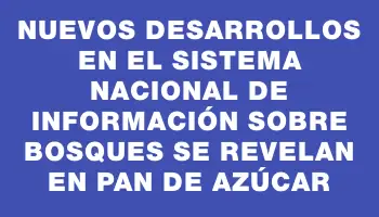 Nuevos desarrollos en el sistema nacional de información sobre bosques se revelan en Pan de Azúcar