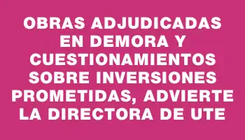 Obras adjudicadas en demora y cuestionamientos sobre inversiones prometidas, advierte la directora de Ute