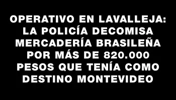 Operativo en Lavalleja: la Policía decomisa mercadería brasileña por más de 820.000 pesos que tenía como destino Montevideo