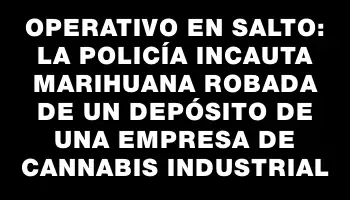 Operativo en Salto: La policía incauta marihuana robada de un depósito de una empresa de cannabis industrial