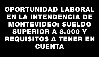 Oportunidad laboral en la Intendencia de Montevideo: sueldo superior a $78.000 y requisitos a tener en cuenta