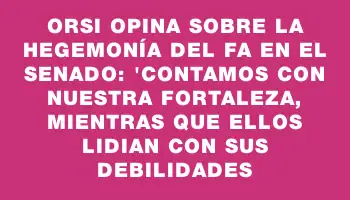 Orsi opina sobre la hegemonía del Fa en el Senado: 