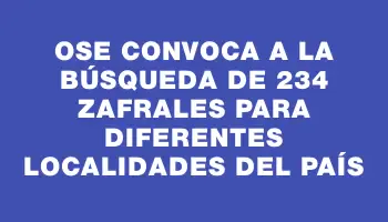 Ose convoca a la búsqueda de 234 zafrales para diferentes localidades del país