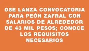 Ose lanza convocatoria para peón zafral con salarios de alrededor de 43 mil pesos; conoce los requisitos necesarios