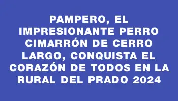 Pampero, el impresionante perro cimarrón de Cerro Largo, conquista el corazón de todos en la Rural del Prado 2024