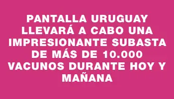 Pantalla Uruguay llevará a cabo una impresionante subasta de más de 10.000 vacunos durante hoy y mañana