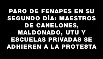 Paro de Fenapes en su segundo día: maestros de Canelones, Maldonado, Utu y escuelas privadas se adhieren a la protesta