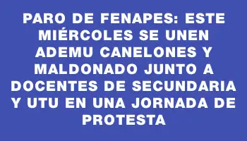 Paro de Fenapes: Este miércoles se unen Ademu Canelones y Maldonado junto a docentes de Secundaria y Utu en una jornada de protesta