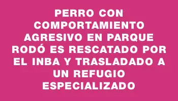 Perro con comportamiento agresivo en Parque Rodó es rescatado por el Inba y trasladado a un refugio especializado