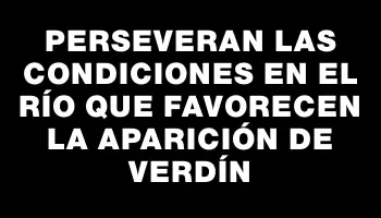 Perseveran las condiciones en el río que favorecen la aparición de verdín