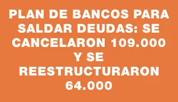 Plan de bancos para saldar deudas: se cancelaron 109.000 y se reestructuraron 64.000