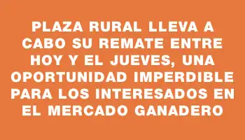 Plaza Rural lleva a cabo su remate entre hoy y el jueves, una oportunidad imperdible para los interesados en el mercado ganadero