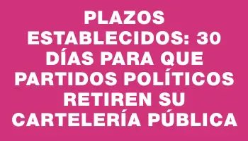 Plazos establecidos: 30 días para que partidos políticos retiren su cartelería pública