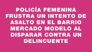 Policía femenina frustra un intento de asalto en el barrio Mercado Modelo al disparar contra un delincuente