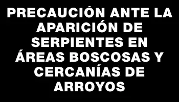 Precaución ante la aparición de serpientes en áreas boscosas y cercanías de arroyos