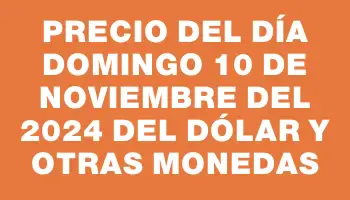 Precio del día Domingo 10 de noviembre del 2024 del dólar y otras monedas