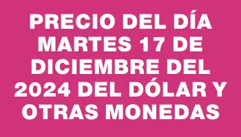 Precio del día Martes 17 de diciembre del 2024 del dólar y otras monedas