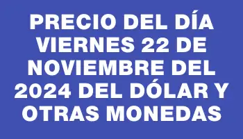 Precio del día Viernes 22 de noviembre del 2024 del dólar y otras monedas