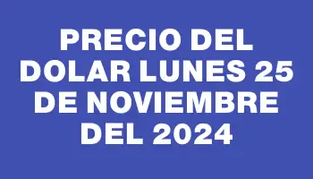 Precio del dolar Lunes 25 de noviembre del 2024