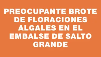Preocupante brote de floraciones algales en el embalse de Salto Grande