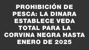 Prohibición de pesca: La Dinara establece veda total para la corvina negra hasta enero de 2025