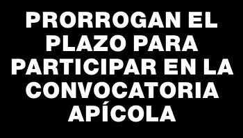 Prorrogan el plazo para participar en la convocatoria apícola