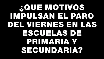 ¿Qué motivos impulsan el paro del viernes en las escuelas de Primaria y Secundaria?