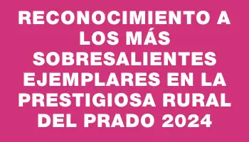 Reconocimiento a los más sobresalientes ejemplares en la prestigiosa Rural del Prado 2024