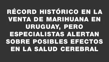 Récord histórico en la venta de marihuana en Uruguay, pero especialistas alertan sobre posibles efectos en la salud cerebral