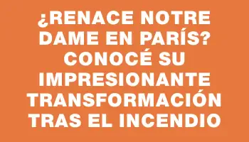 ¿Renace Notre Dame en París? Conocé su impresionante transformación tras el incendio