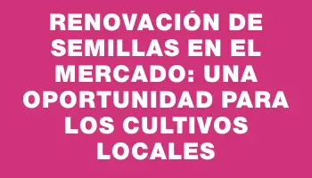 Renovación de semillas en el Mercado: una oportunidad para los cultivos locales